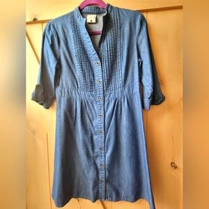 Freeway denim dress